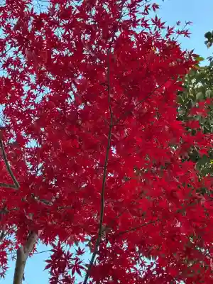天神社(静岡県)