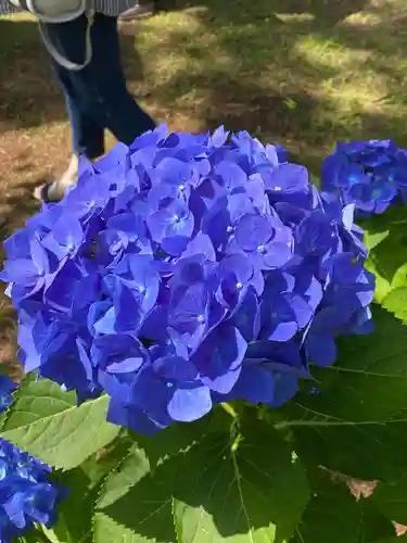 東勝寺宗吾霊堂(千葉県)