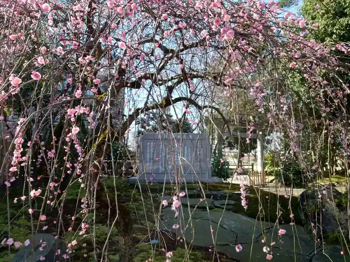 富山縣護國神社(富山県)