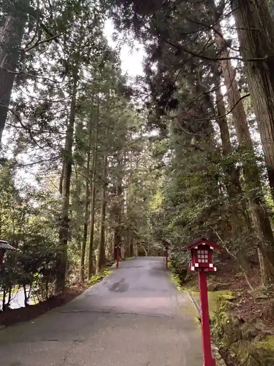 箱根神社の{uncategorized: "未分類", other: "その他", undefined: "問題あり", building: "その他建物", grave: "お墓", sacred_gate: "鳥居", guardian: "狛犬", statue: "像", buddha: "仏像", history: "歴史", nature: "自然", garden: "庭園", animal: "動物", pagoda: "塔", temizu: "手水舎", mountain_gate: "山門・神門", sanctuary: "本殿・本堂", subordinate: "末社・摂社", art: "芸術", scenery: "景色", jizo: "地蔵", ema: "絵馬", goshuin: "御朱印", omikuji: "おみくじ", items: "授与品その他", amulet: "お守り", goshuincho: "御朱印帳", eats: "食事", festival: "お祭り", votive_dance: "神楽", shichigosan: "七五三参", wedding: "結婚式", experience: "体験その他", initially: "初詣", around: "周辺", anti_infection: "感染症対策"}