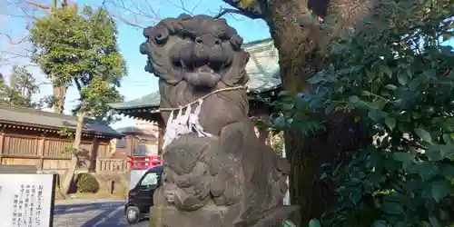 鳩ヶ谷氷川神社の狛犬