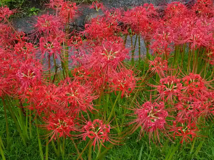 横浜 西方寺の自然