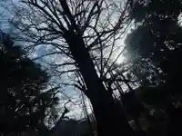 王子神社(東京都)