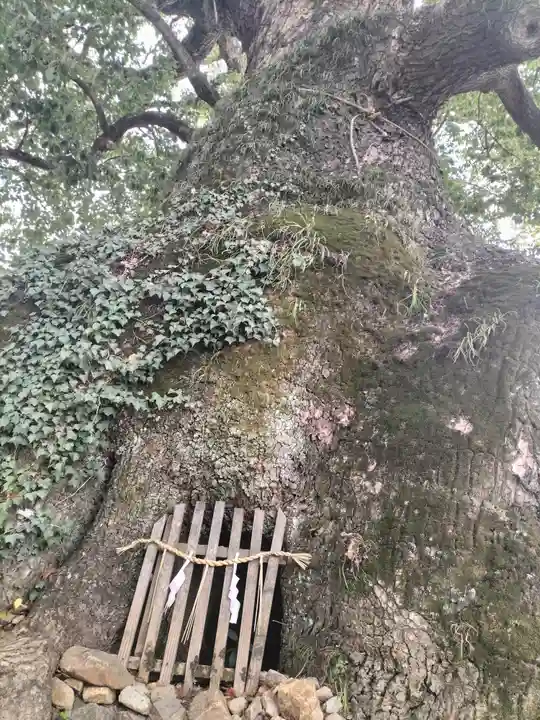 糸碕神社(広島県)