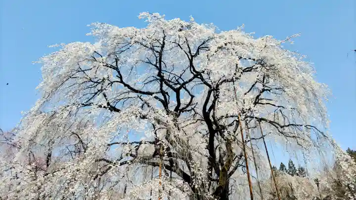 清雲寺(埼玉県)