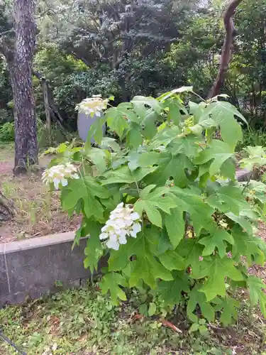 東慶寺(神奈川県)