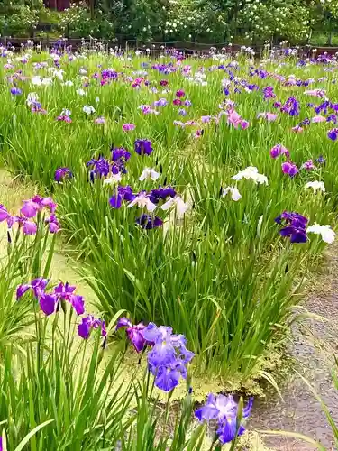 本土寺(千葉県)