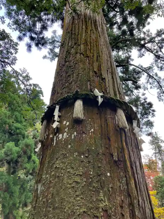 由岐神社(京都府)