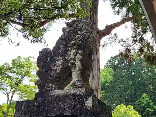 稲荷神社の狛犬