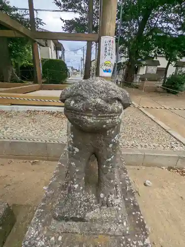 大和田氷川神社の狛犬