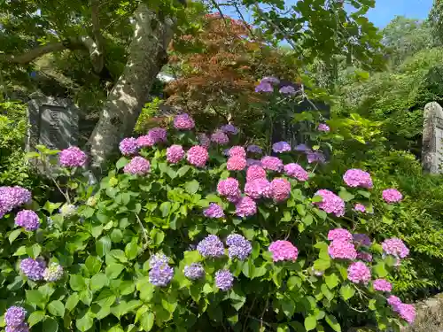 長谷寺(奈良県)