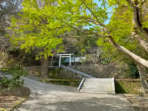 安房神社の鳥居