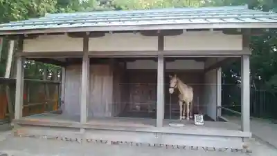 湫尾神社のその他建物