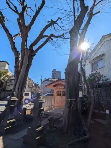 大林寺(東京都)