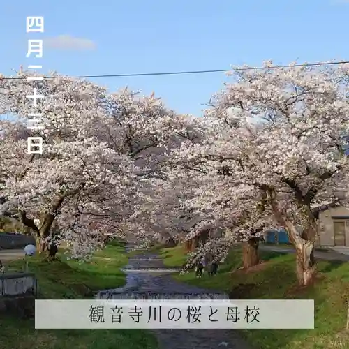 壽徳寺 じゅとくじの自然