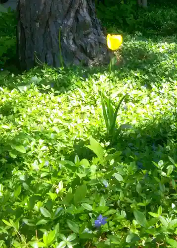 札幌伏見稲荷神社(北海道)