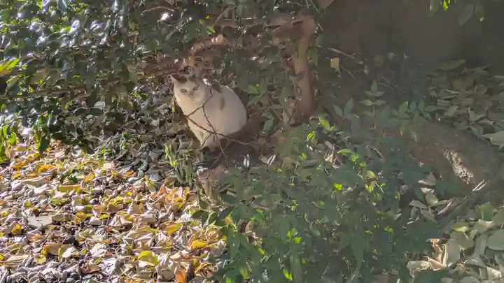 行願寺(革堂)(京都府)