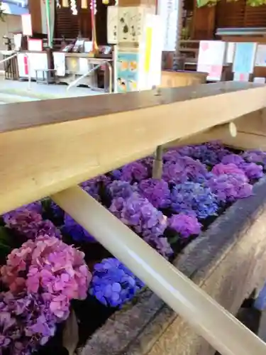鳩森八幡神社の手水舎