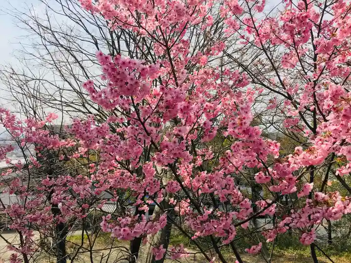 四條畷神社(大阪府)