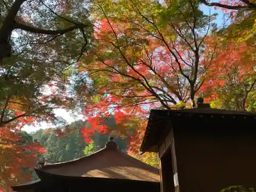 普門寺(切り絵御朱印発祥の寺)のその他建物