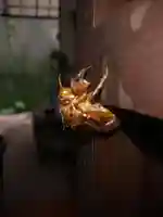 石内のお大師さん 金剛院(広島県)