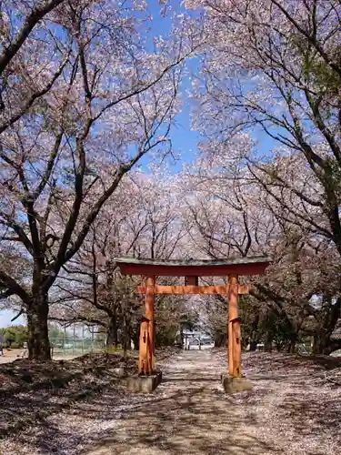 東蕗田天満社の鳥居