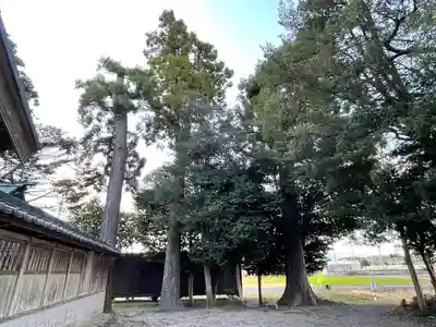 八重垣神社(三重県)