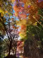 鳳来寺(愛知県)