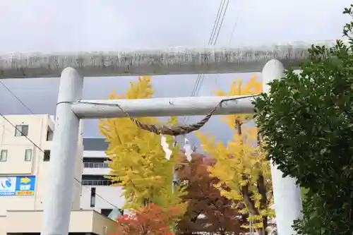 阿邪訶根神社の鳥居