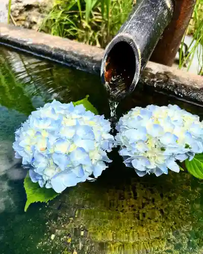 国宝 大法寺の手水舎