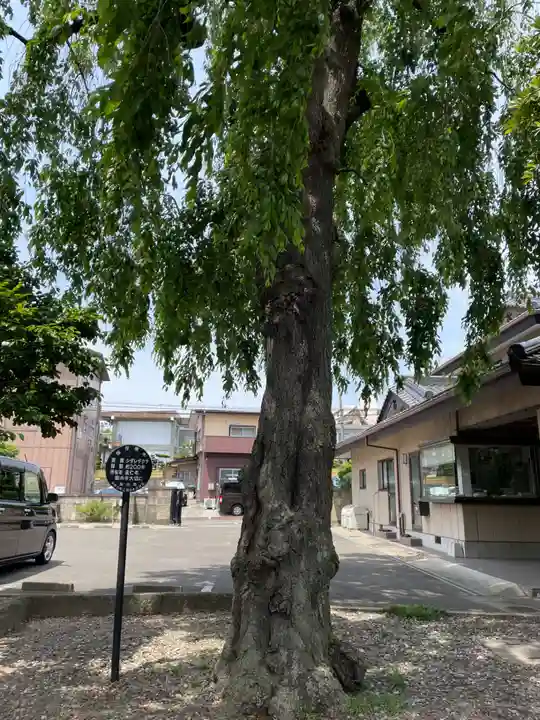 道仁寺(宮城県)