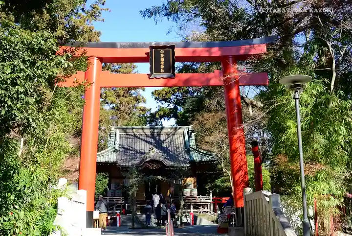 白笹稲荷神社の鳥居