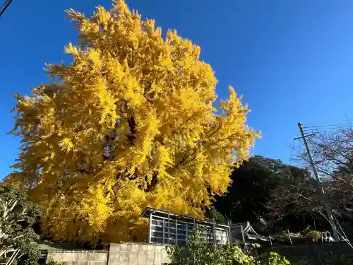 丹生酒殿神社(和歌山県)