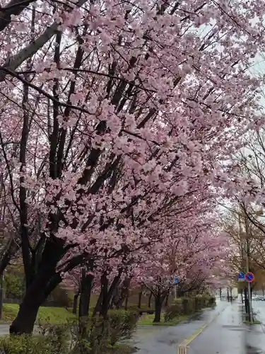 厚別神社(北海道)