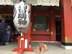 神田神社（神田明神）の動物