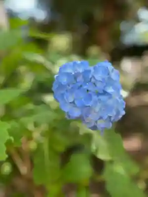 前原御嶽神社(千葉県)
