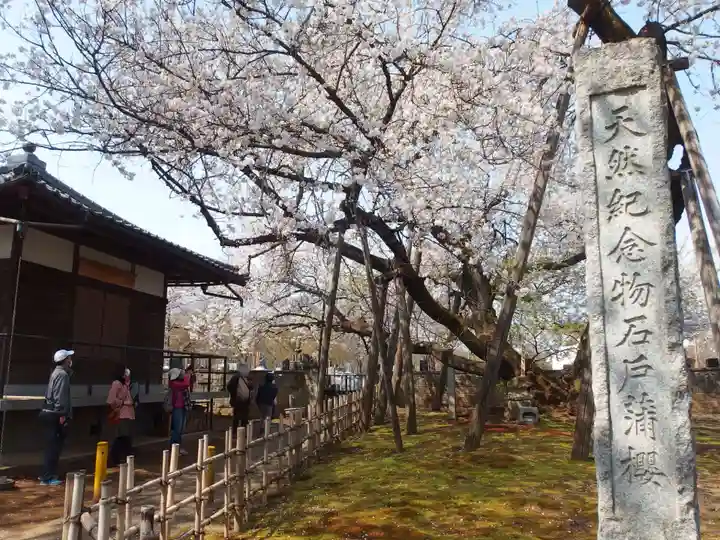 東光寺(埼玉県)