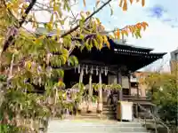 桜神宮の本殿・本堂