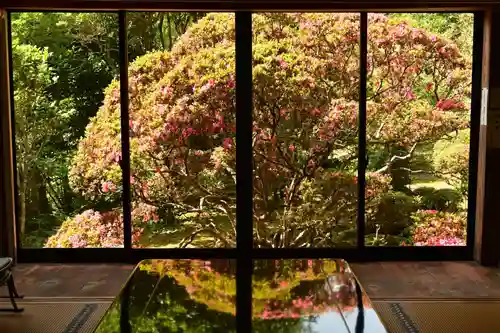 東福寺(徳島県)