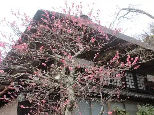 海蔵寺のその他建物