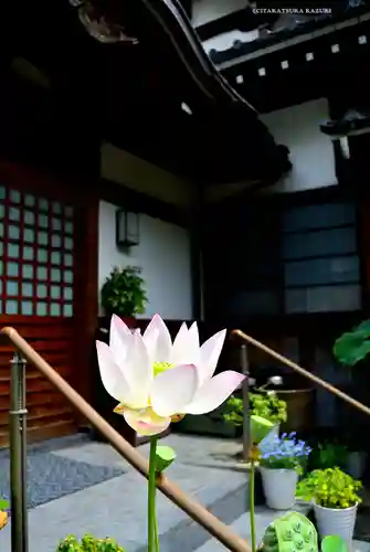 泥牛庵(神奈川県)