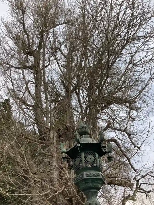 熊野大社(山形県)