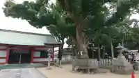大依羅神社の本殿・本堂