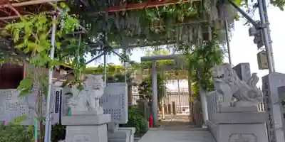 白天宮(大阪府)