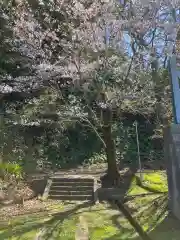 鉢崎神社(新潟県)