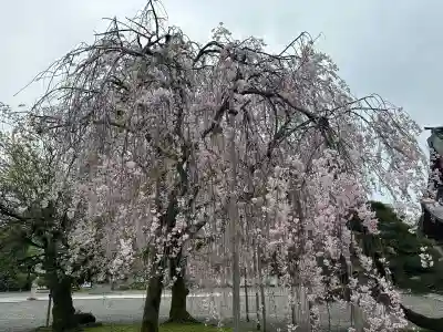 富山縣護國神社の{uncategorized: "未分類", other: "その他", undefined: "問題あり", building: "その他建物", grave: "お墓", sacred_gate: "鳥居", guardian: "狛犬", statue: "像", buddha: "仏像", history: "歴史", nature: "自然", garden: "庭園", animal: "動物", pagoda: "塔", temizu: "手水舎", mountain_gate: "山門・神門", sanctuary: "本殿・本堂", subordinate: "末社・摂社", art: "芸術", scenery: "景色", jizo: "地蔵", ema: "絵馬", goshuin: "御朱印", omikuji: "おみくじ", items: "授与品その他", amulet: "お守り", goshuincho: "御朱印帳", eats: "食事", festival: "お祭り", votive_dance: "神楽", shichigosan: "七五三参", wedding: "結婚式", experience: "体験その他", initially: "初詣", around: "周辺", anti_infection: "感染症対策"}