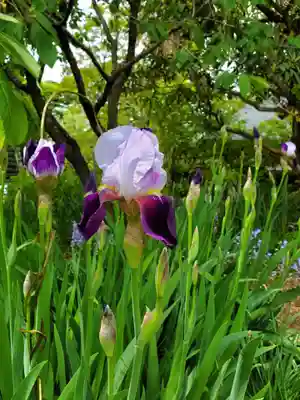 上合寺(福島県)