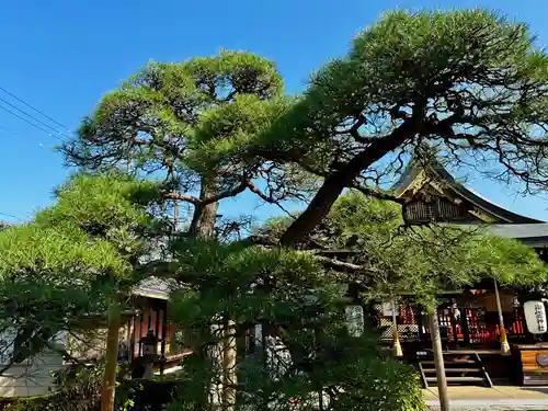 御霊神社(奈良県)