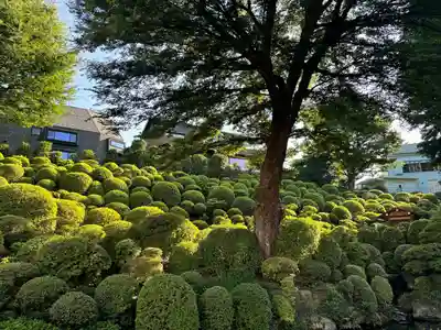 根津神社(東京都)