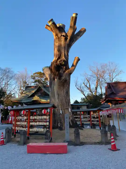 上野総社神社(群馬県)